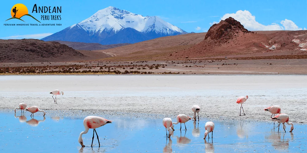 Tours 3 Days Salar de Uyuni