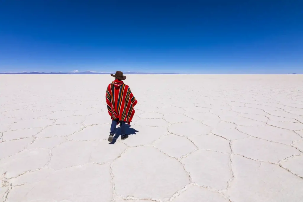 Tours 1 Day Salar de Uyuni