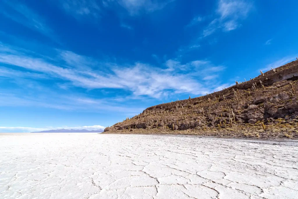 Tours 1 Day Salar de Uyuni
