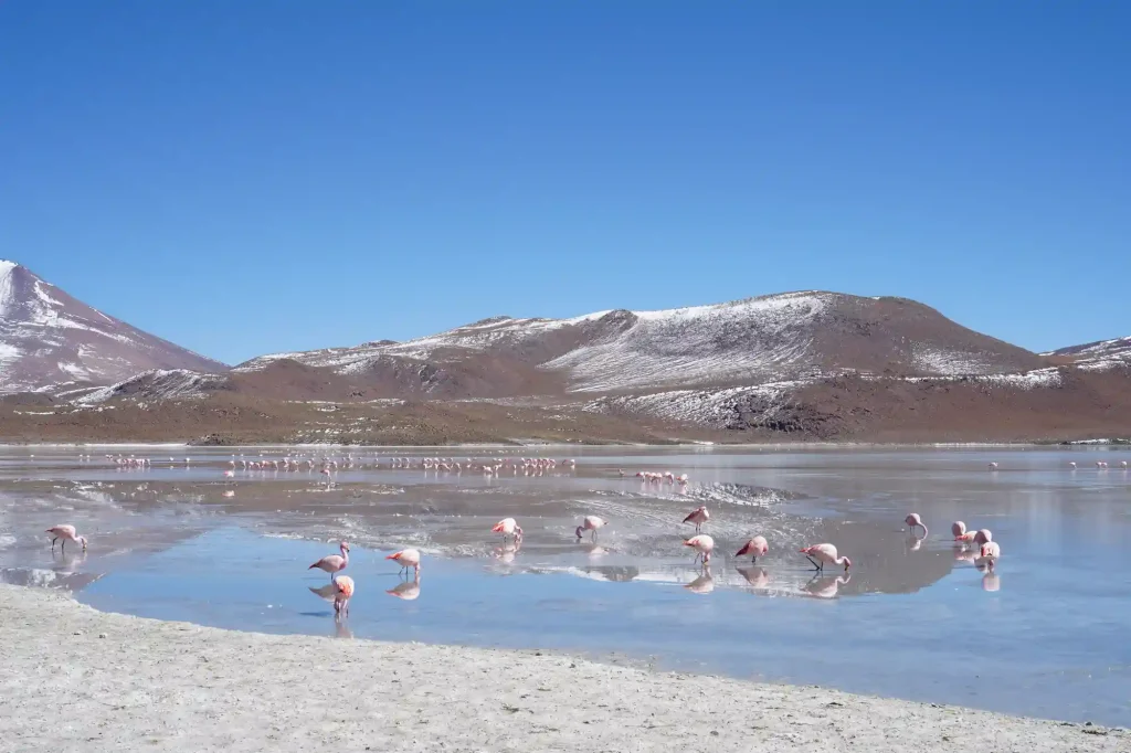 Tours 1 Day Salar de Uyuni